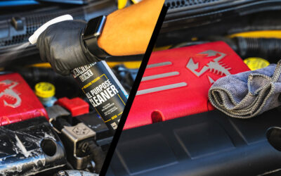 APC – ALL PURPOSE CLEANER: how to remove dirt from fabrics, carpets, internal and external plastics, engine compartment, etc.